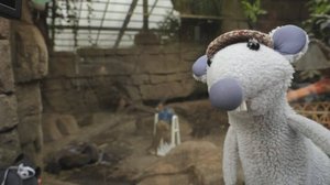 Mossen tutkimusretket