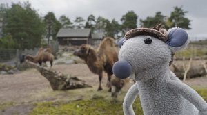 Mossen tutkimusretket