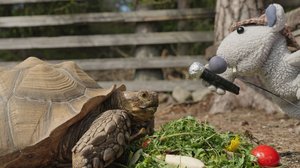 Mossen tutkimusretket