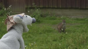 Mossen tutkimusretket