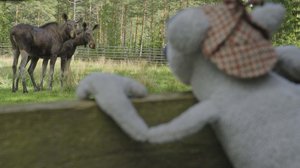 Mossen tutkimusretket