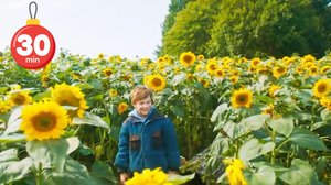 BUU-klubben (30 min)