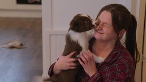 Pentulive: Eka vuosi