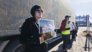 Suoran toiminnan Suomi