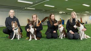 Pentulive: Eka vuosi