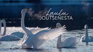 Laulu joutsenesta