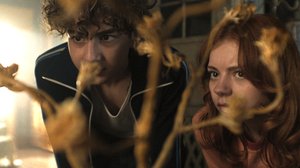 Pörriäinen lentää hämärissä