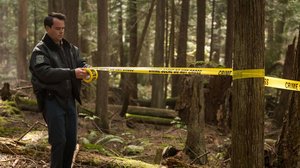 Pikkukaupungin poliisi