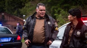 Pikkukaupungin poliisi