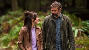 Pikkukaupungin poliisi