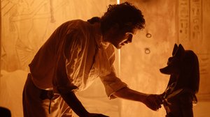 Pörriäinen lentää hämärissä