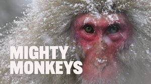 Avara Luonto: Kamikochin vaeltajat