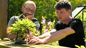 Søren Vesterin puutarhavinkit