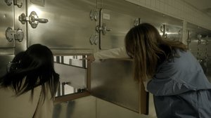 Tappavan väkivallan motiivit