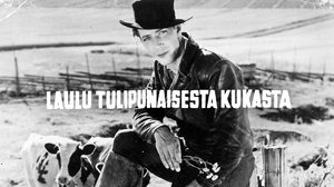 Laulu tulipunaisesta kukasta