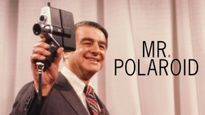 Polaroidin aika