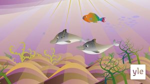 . (S): 19.10.2020 06.00