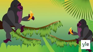 . (S): 19.10.2020 06.00