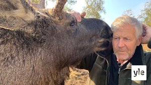 Markku Harju auttaa eläimiä: 18.10.2020 00.01