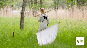 Själö - Island of souls (7): 26.10.2020 06.00