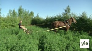 Tanskalainen maajussi: 28.10.2020 17.25