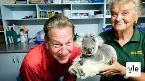 Newcastle - Brisbane: 02.11.2020 06.00