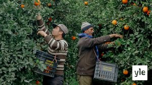 Fès: 05.11.2020 19.00