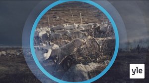 Oddasat: 02.11.2020 22.00