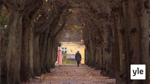 Antiikkikaksintaistelu: 07.11.2020 17.25