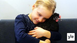 Koulukana Töyhtö opettaa empatiaa: 05.11.2020 10.25