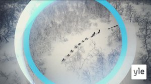 Oddasat: 05.11.2020 22.00