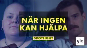 Sairas pula psykoterapiasta: 16.11.2020 00.01