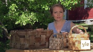 Viidakkoseinät ja kasviterraario: 14.11.2020 00.01