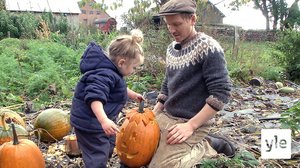 Tanskalainen maajussi: 18.11.2020 13.00