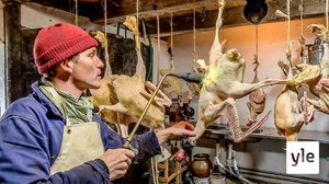 Tanskalainen maajussi: 19.11.2020 18.30