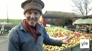 Tanskalainen maajussi: 20.11.2020 13.00