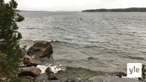 Tältä näyttää Liisa-myrsky Luonterin rannalla Saimaalla: 19.11.2020 15.00