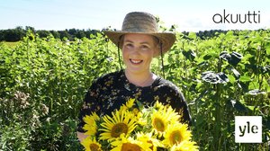 Menisinkö kauneusleikkaukseen?: 22.11.2020 00.01