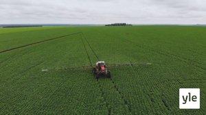 Soijantuotanto pahentaa Brasilian metsäkatoa: 23.11.2020 11.09