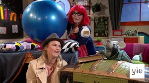 Plåstret får sin stora släktbok: 29.11.2020 07.00