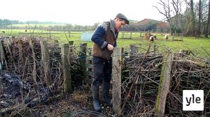 Tanskalainen maajussi: 24.11.2020 13.05