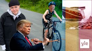 Donald Trump är kanske redo att erkänna förlust och Viking Line har igen gått på grund: 24.11.2020 16.53