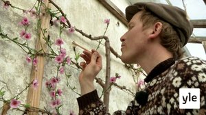 Tanskalainen maajussi: 30.11.2020 13.00