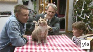 Kissa (S): 01.12.2020 00.01