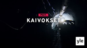 Luonto kaivosten tiellä: 30.11.2020 06.00