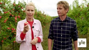 Omenat: 03.12.2020 06.00