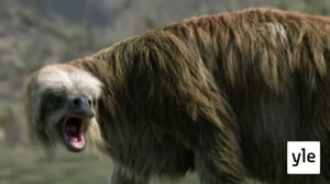 Prisma: Jääkauden jättiläiset: 30.11.2020 06.00