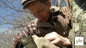 Tanskalainen maajussi: 03.12.2020 13.00