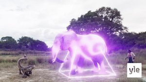 Loppu on alku (7): 01.12.2020 06.00