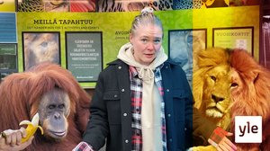 Djurparker som Högholmen behövs: 01.12.2020 17.08